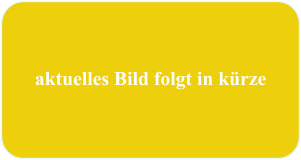 aktuelles Bild folgt in kürze